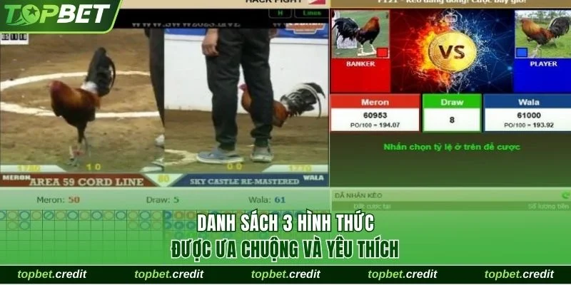 Danh sách 3 hình thức được ưa chuộng và yêu thích