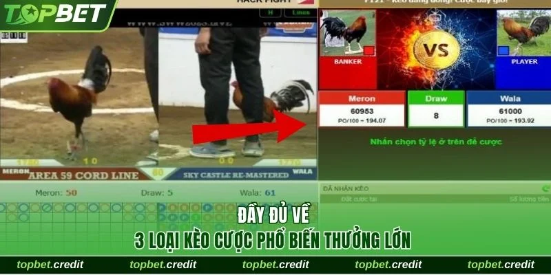 Đầy đủ về 3 loại kèo cược phổ biến thưởng lớn