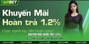 Khuyến mãi hoàn trả