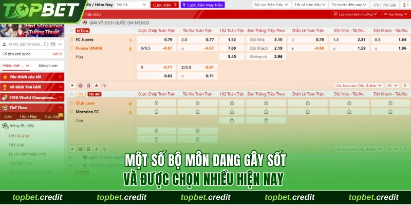 Các lợi thế hấp dẫn đáng kể của mục thể thao TopBet