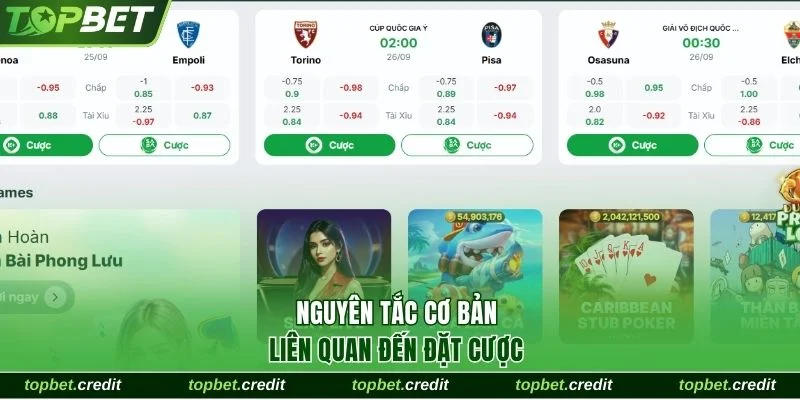 Nguyên tắc cơ bản liên quan đến đặt cược