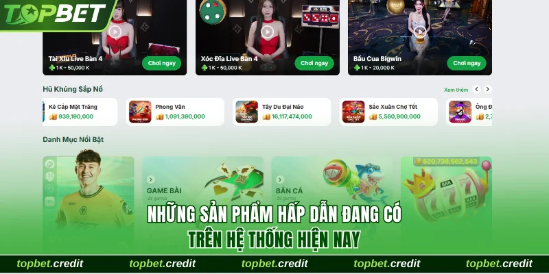 Những sản phẩm hấp dẫn đang có trên hệ thống hiện nay