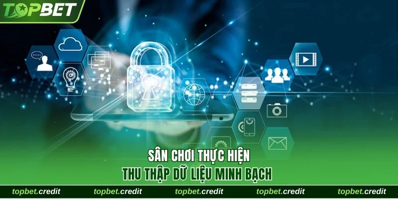 Sân chơi thu thập dữ liệu minh bạch